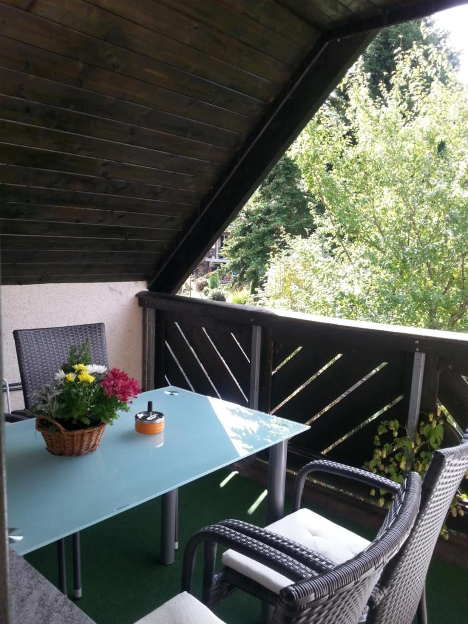 Heiterer Blick *